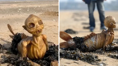 Ghostly sea monster with fins and hollow eyes washes up in UK, what is it?