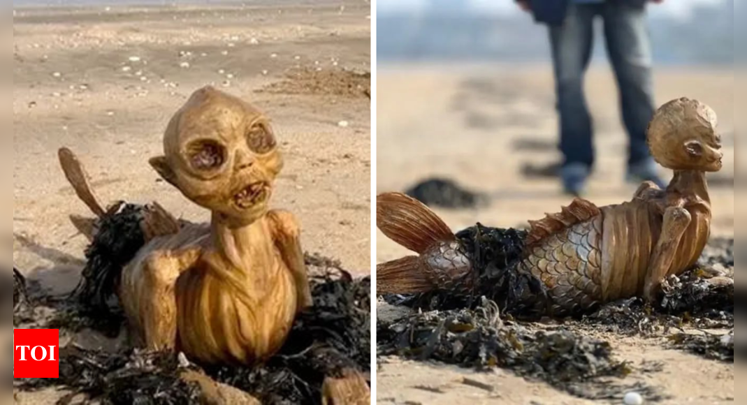 Ghostly sea monster with fins and hollow eyes washes up in UK, what is it?