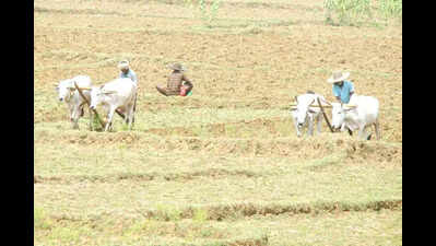 Govt to bring out water policy soon: CM