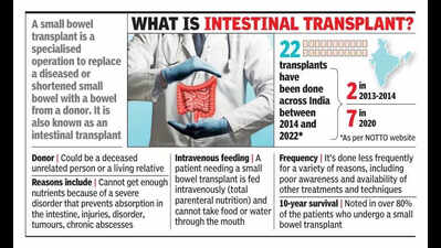 City’s 1st small bowel transplant of 2025 carried out