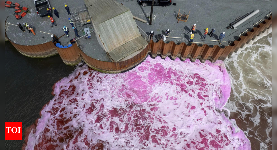 Ocean dumping – or a climate solution? A growing industry bets on the ocean to capture carbon – The Times of India