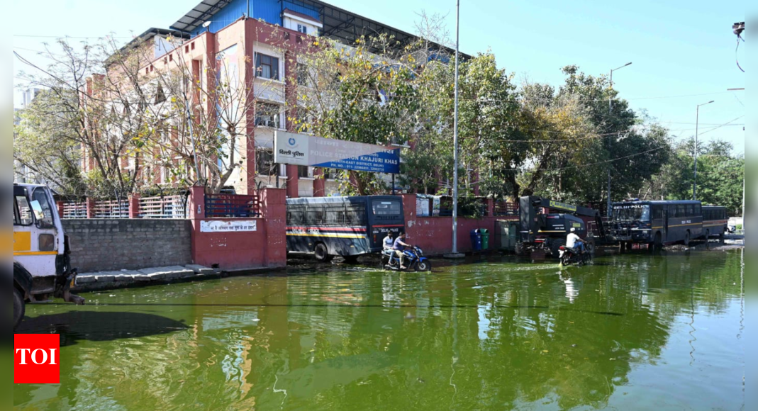 Delhi's Khajuri Khas residents battle flooding, foul odours amid official apathy