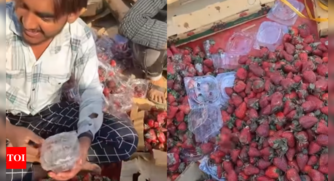 Viral: Rotten, fungus-grown strawberries cleaned and repackaged- Watch video