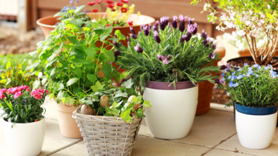 Breathe Life Into Urban Spaces With These Verdant Outdoor Planters For Balconies & Gardens