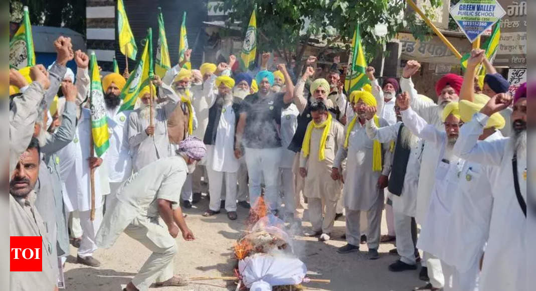 Protesting farmers dare Punjab government, refuse to seek bail