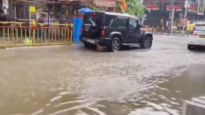 Bengaluru rains: Girl dies as tree crashes on her while riding pillion with dad