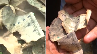 Judge cash row: Burnt pieces of Rs 500 notes 'found' near Justice Yashwant Varma's residence