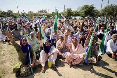 Punjab cops looted from protest sites, say farmers