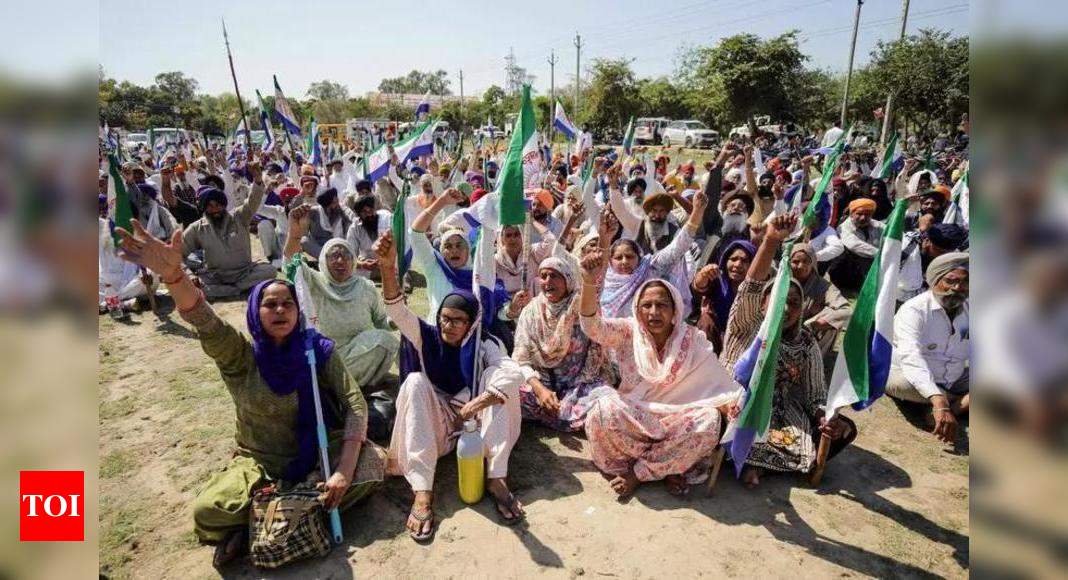 Punjab cops looted from protest sites, say farmers