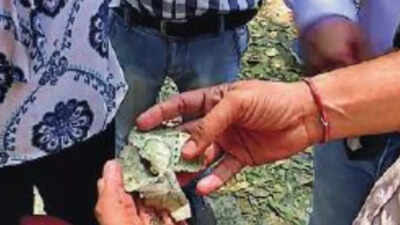 Charred Rs 500 notes found in debris near Delhi HC judge Yashwant Varma ...