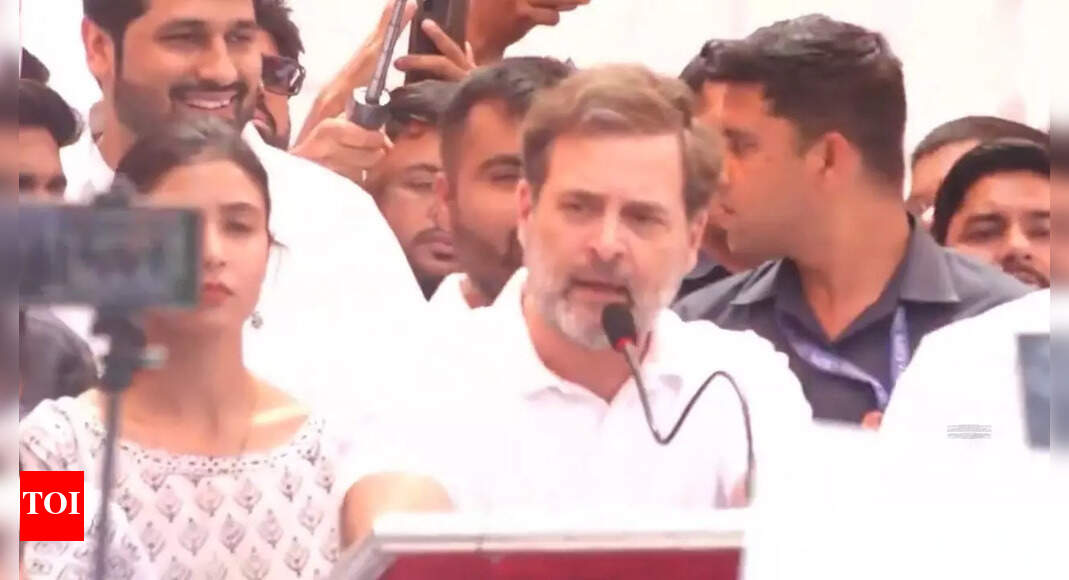 India will be destroyed if RSS takes control of education: Rahul Gandhi | Delhi News - The Times of India