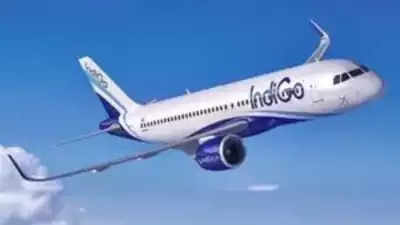 IndiGo to launch direct flights between Goa and Bhubaneswar