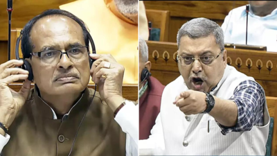 TMC MP Kalyan Banerjee calls Shivraj Singh Chouhan 'dalal', BJP hits back