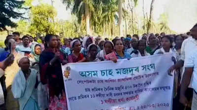 Lepetkata tea workers protest, demand wage hike and land rights