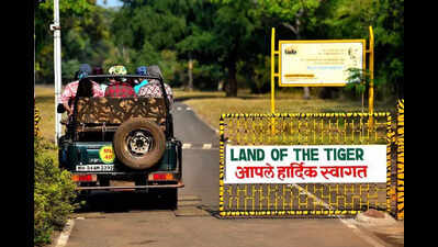 Tadoba Goes For Ease Of Tourism, Allows Pay & Jump Queue For Safari Vehicles, Upgrades Full-Day Safari