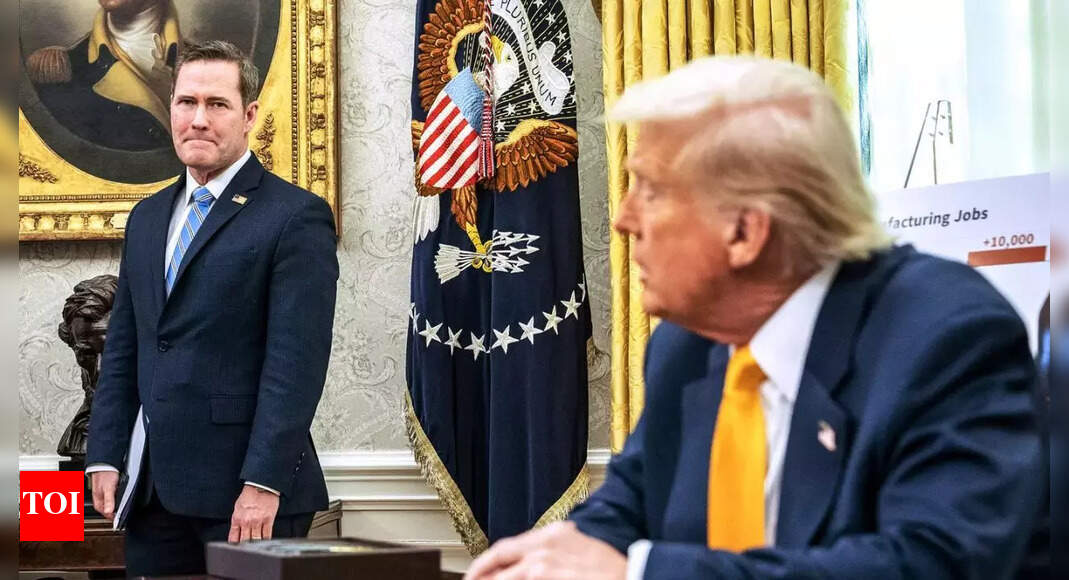 ‘Do not suppose he ought to apologize’: Donald Trump backs nationwide safety advisor Waltz amid Sign textual content leak fallout