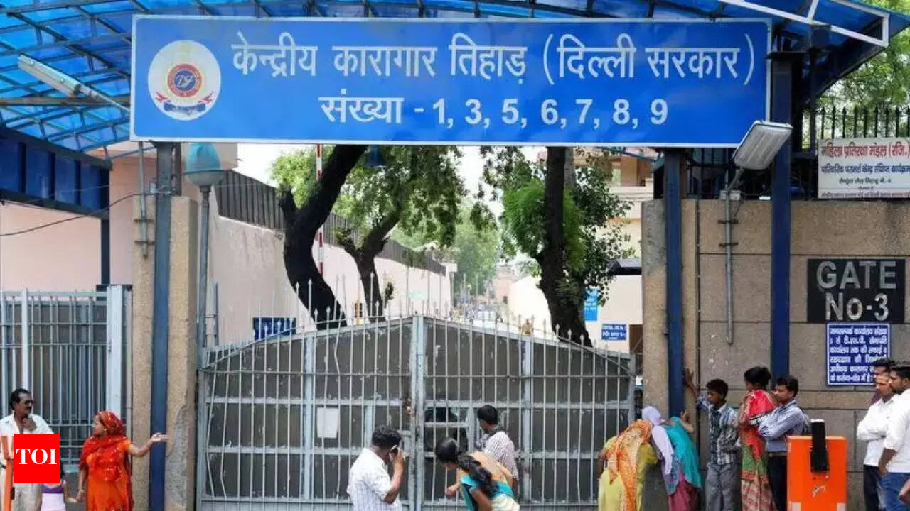 In Delhi budget, CM Rekha Gupta proposes to relocate Tihar Jail, set up society for rehabilitating inmates | Delhi News - The Times of India