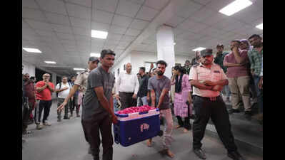 Brain dead man's organs breathe life into 3 in Guj | Lucknow News ...