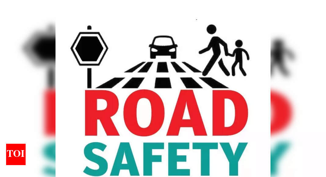 N Goa road safety panel targets fake helmets, victim aid | Goa News ...
