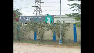 State to get first superspeciality veterinary hospital at New Town