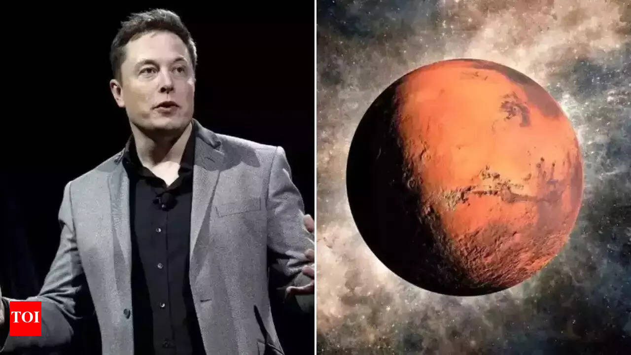 Elon Musk reveals key steps to build a self-sustaining Mars city | - The  Times of India