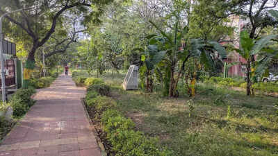 30 parks to expand city's lungs | Chennai News - The Times of India