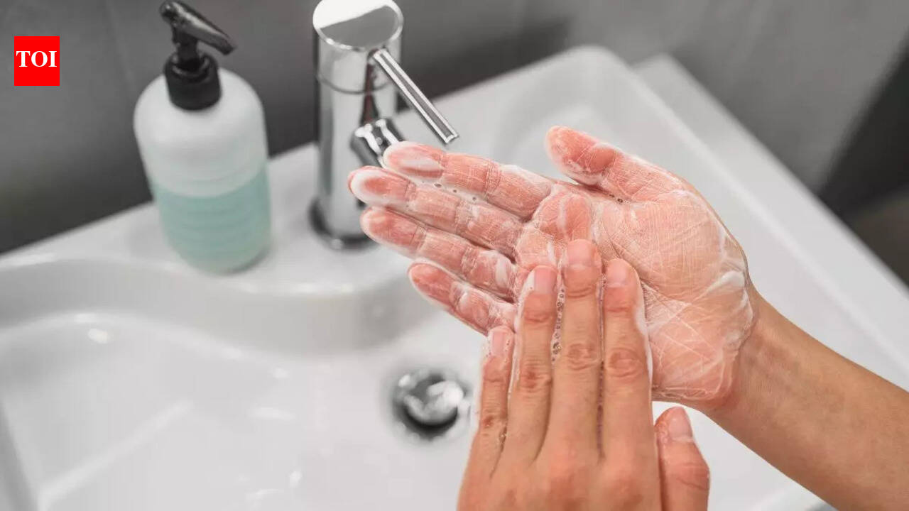 Best Moisturizing Handwashes: Clean Hands Without Dryness - The Times ...