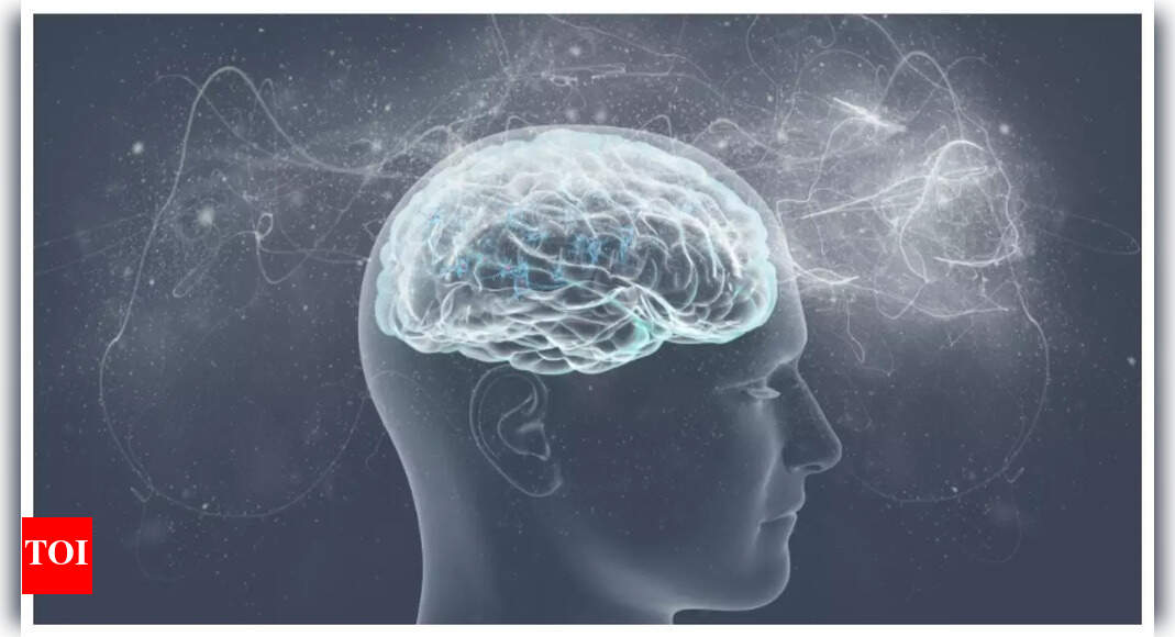 What is the difference between brain and mind? The Times of India