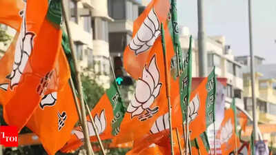 BJP slams Didi for disagreeing that India would soon become 3rd-largest economy