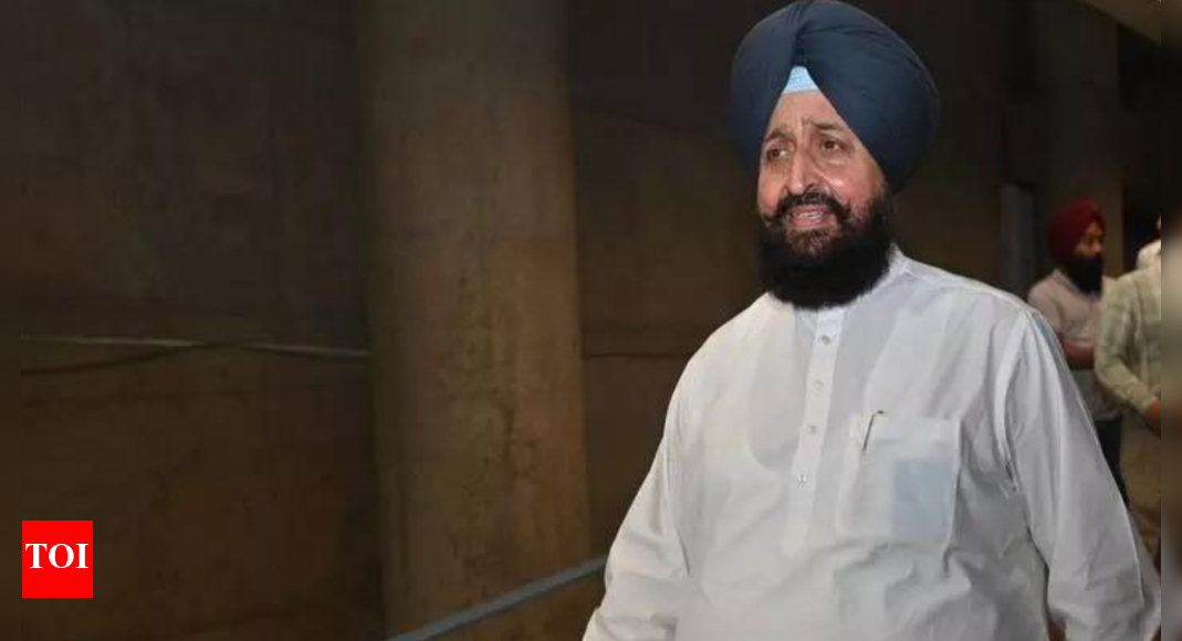 Mosque ‘demolished’ in Punjab, cops refute Partap Singh Bajwa’s charge ...