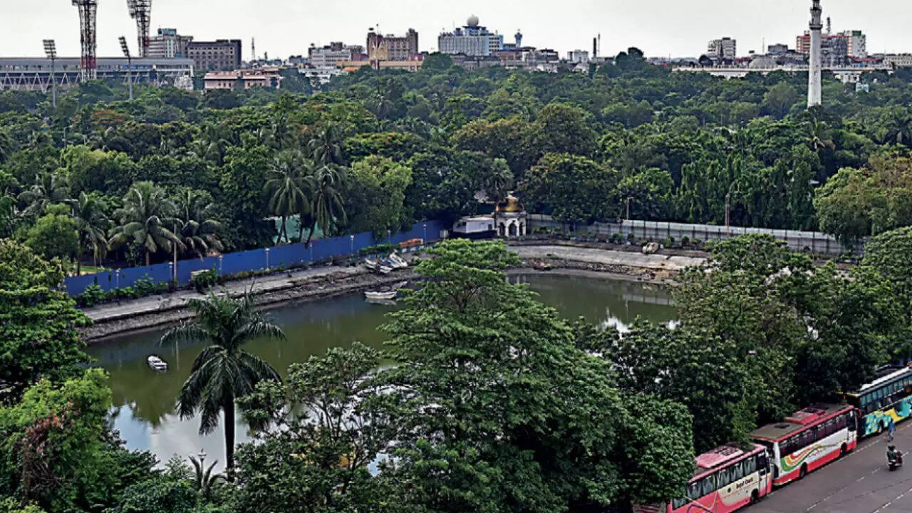 Uy qurilishi Teddy Bear qin