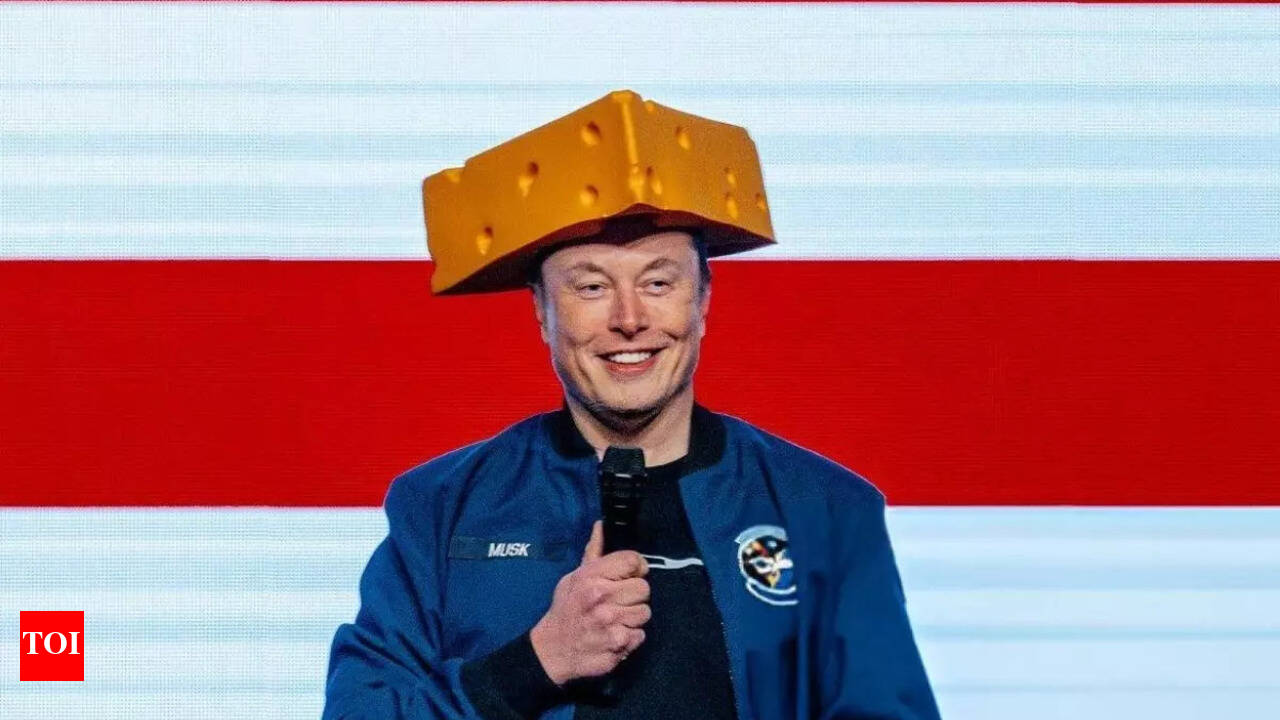 Elon Musk Smilingly at Wisconsin rally: 'Say hi to George Soros for me',  making the crowd chant ... - The Times of India