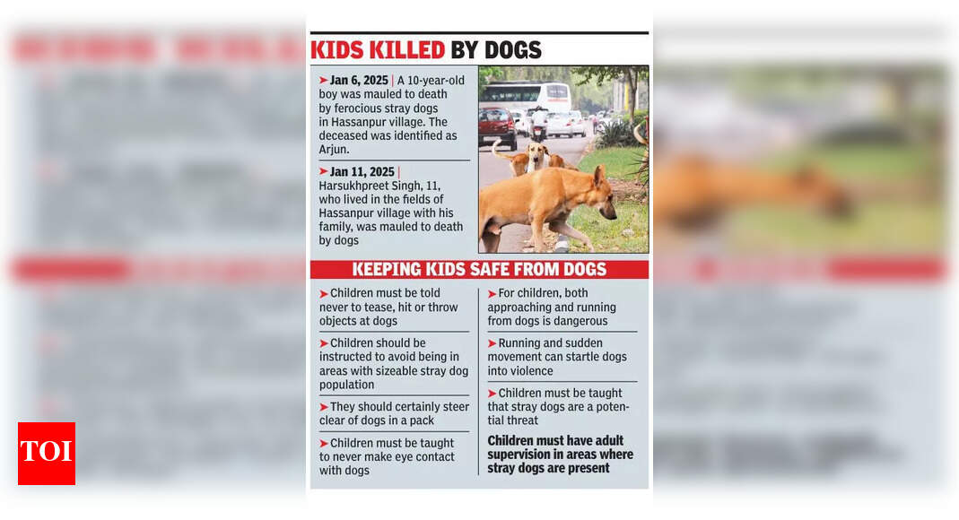 Another casualty: Six-year-old child mauled to death by stray dogs in ...