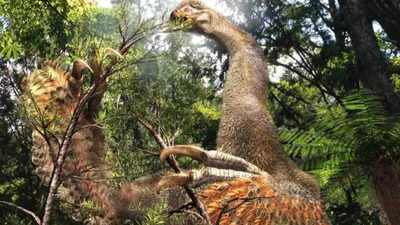 90-million-year-old feathered dinosaur with massive claws uncovered