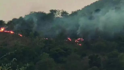 Tamil Nadu forest fire guts rare medicinal herbs