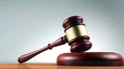 Chhattisgarh consumer court slaps 6% per annum interest on public sector bank for overcharged subsidy loan