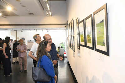 Discover the Chinar: A photography exhibit showcasing Kashmir's resilience and beauty
