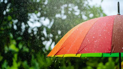 Light showers in Mumbai bring respite from heat