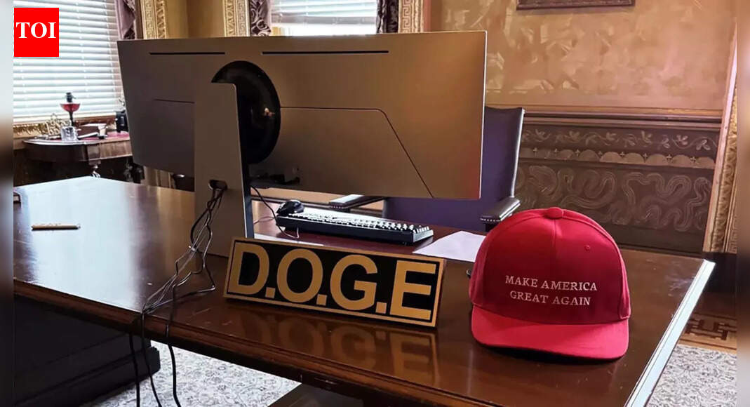 Elon Musk to exit DOGE: What Donald Trump said when he 'confirmed' Elon ...