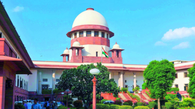SC panel records top cop's statement on fire at judge's house