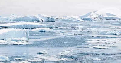 Trump slaps tariffs on empty Antarctic islands, drawing global facepalm