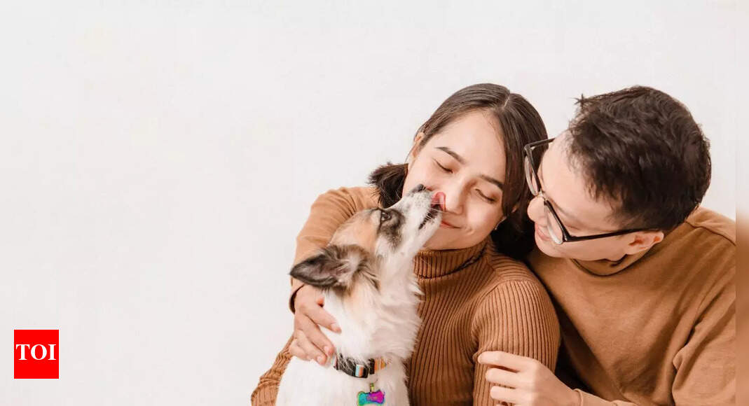 Can a dog’s lick make you lose a limb? Doctor reveals the scary truth