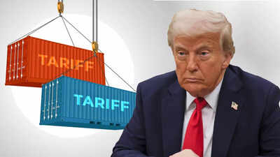 Donald Trump reciprocal tariffs: Why India’s agricultural exports are likely to be little affected