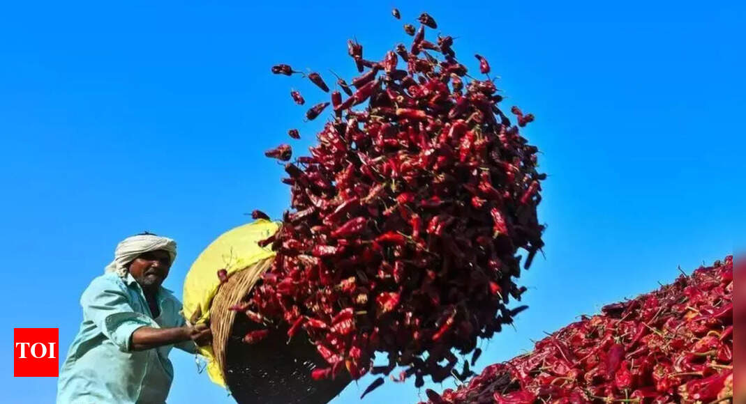 Warangal’s Chapata chilli spices up its status with GI tag | Hyderabad ...