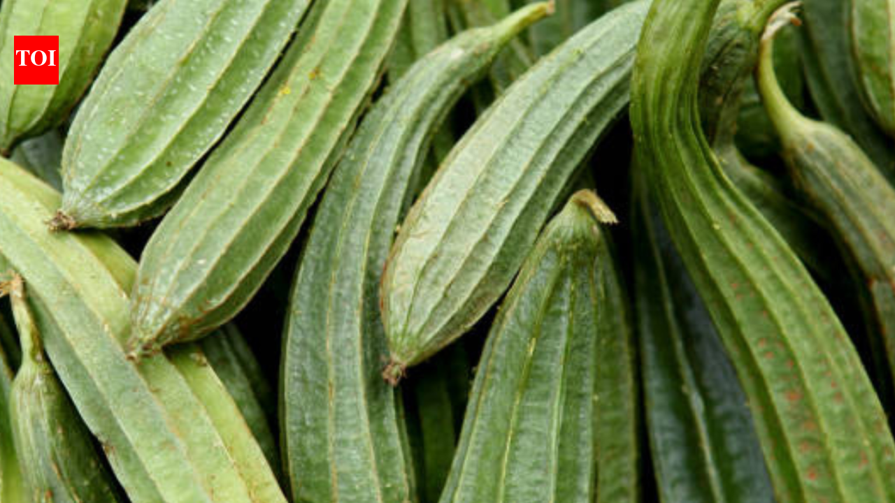 10 benefits of eating ridge gourd in summers
