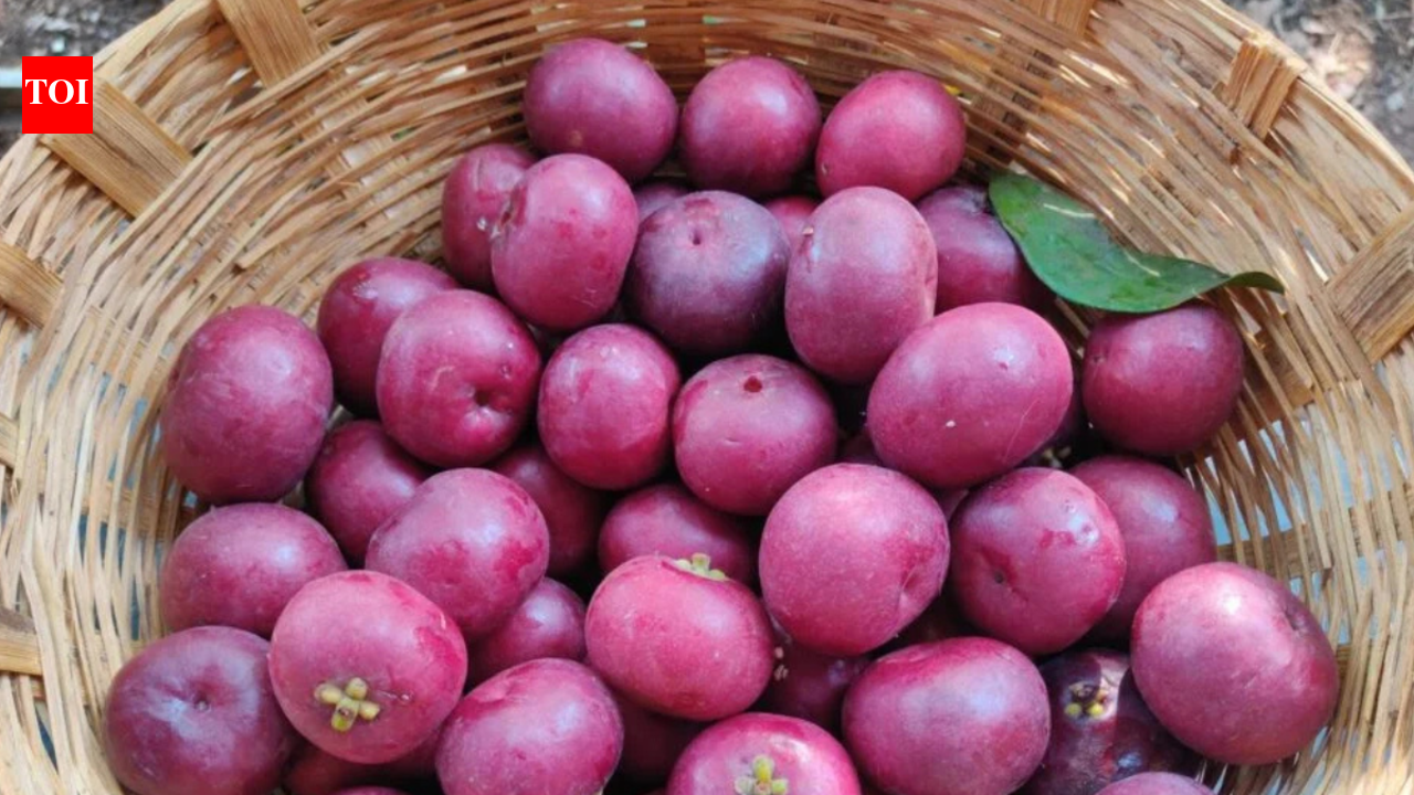Kokum Benefits: 7 benefits of adding kokum in summer diet