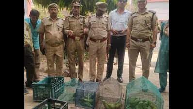 Forest dept rescues 72 birds in Kanpur