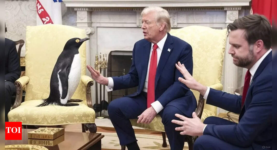 ‘Penguins gotta pay too’: Social media has a field day over Trump’s tariff on uninhabited island