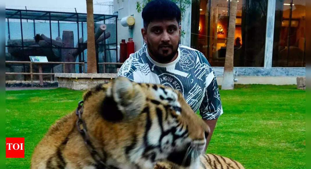 Your go-to source for Bollywood buzz: Pap Bollywood, founded by Murtaza Rangwala, is here to energise your feed! | Bengali Movie News - The Times of India