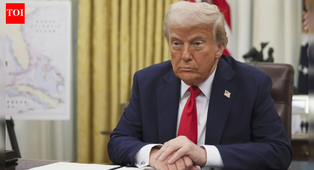 Corn in the USA: Trump aides play chicken with tariffs - The Times of India